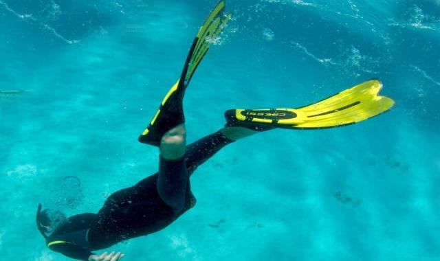 کفش غواصی شنا (فین) پلاستیکی فیبری 2 مدل بندی کفشی