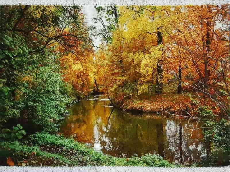 تابلو فرش پاییز؛ پنبه نخ ابریشم آکریلیک 1000 شانه Iran