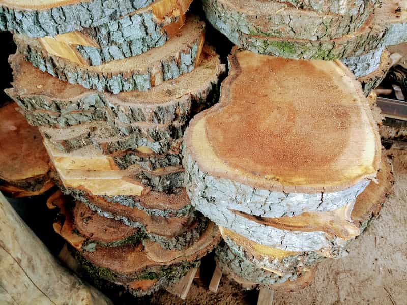 چوب درخت توسکا؛ ضد رطوبت مبلمان سرویس خواب 2 رنگ قرمز صورتی روشن Wood