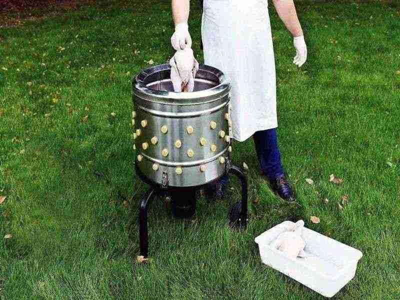 دستگاه پرکن مرغ خانگی کوچک؛ فلزی پلاستیکی مخزن موتور automatic