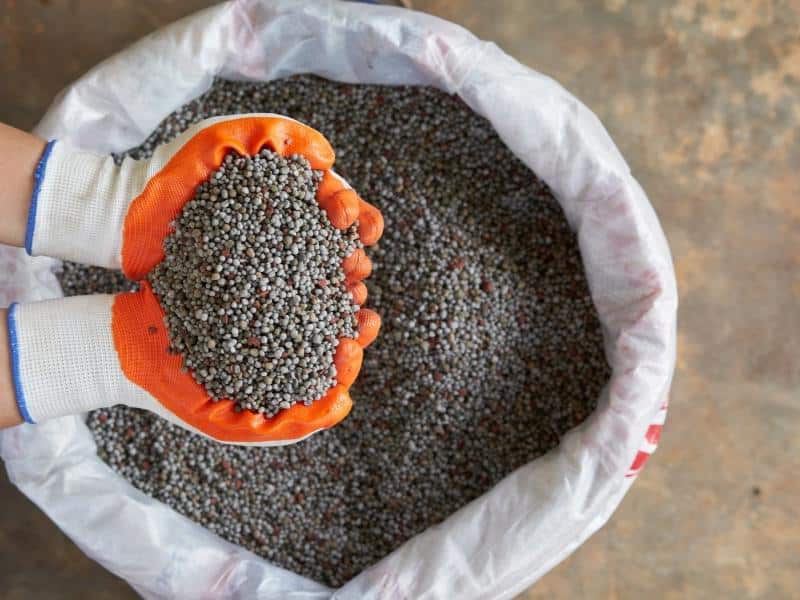 کود فسفاته گرانوله؛ فسفات رشد باردهی گیاه (بسته بندی فله)