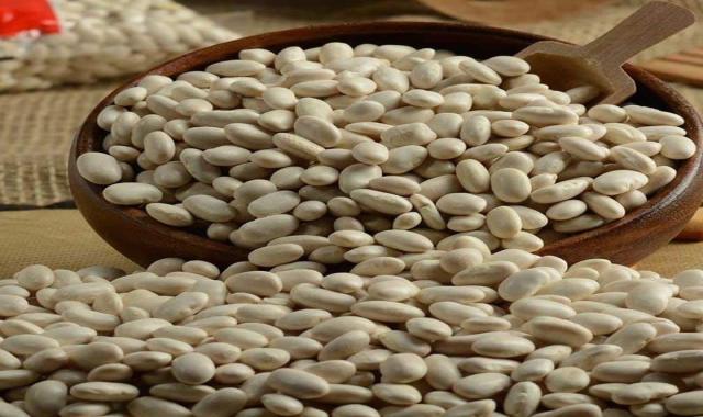 لوبیا سفید ارگانیک؛ بهبود عملکرد دستگاه گوارش (فیبر منیزیم پروتئین)