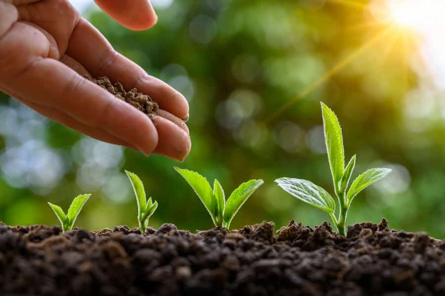 کود ارگانیک ارکید؛ گیاهی حیوانی حاوی فسفر پتاس مواد هوموسی 2 لیتری