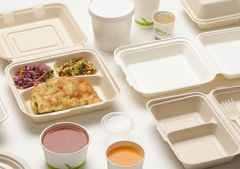 ظروف یکبار مصرف گیاهی به زیست؛ ساده دربدار تجزیه سریع (غذا داغ سرد)