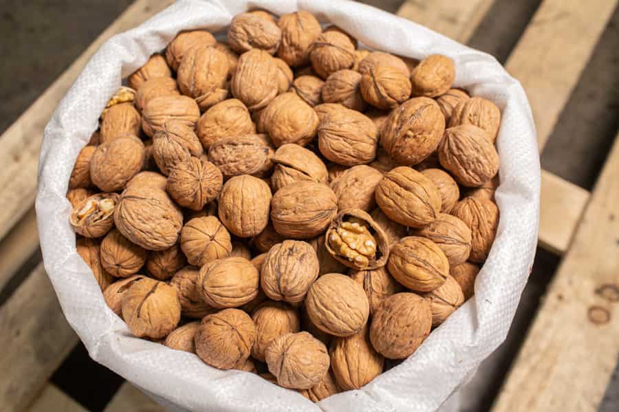 گردو و تیروئید کم کار؛ مغزدار سفید 2 کاربرد تنقلات طب سنتی