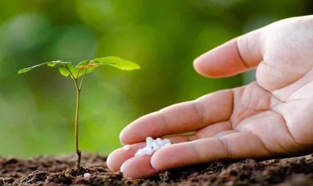 ید گرانول ساچمه ای؛ سفید کرم صنعتی رشد ساقه برگ زایی Granule