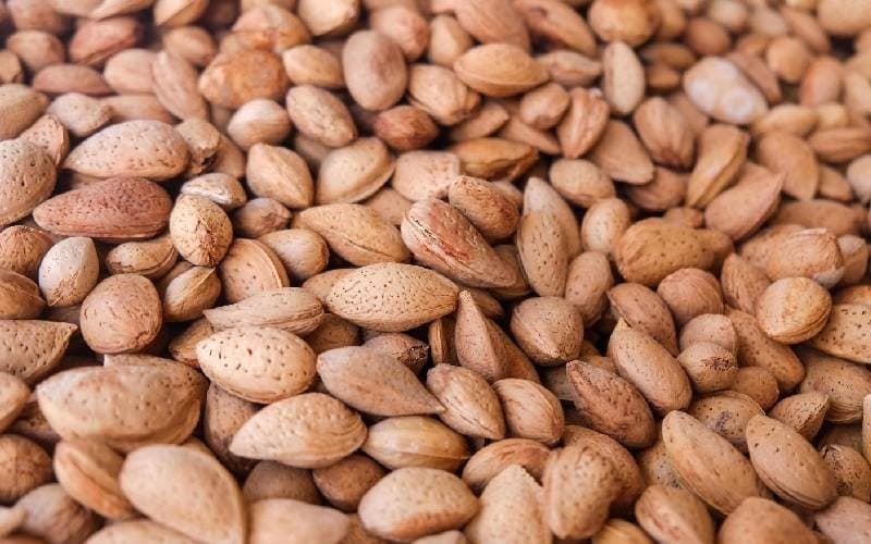 بادام با پوست سنگی؛ کلسیم فیبر استحکام استخوان گرم خشک