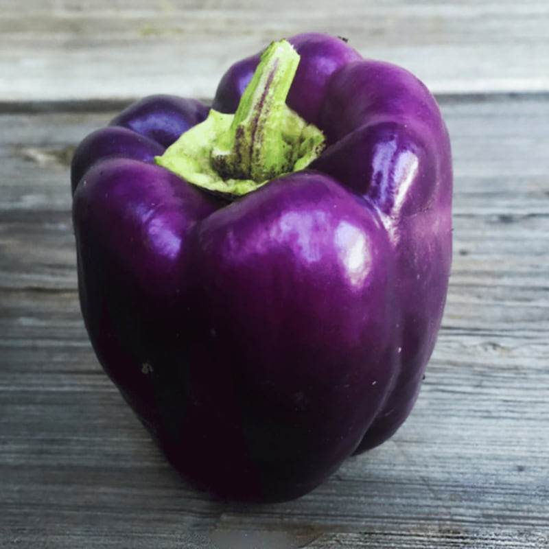 فلفل دلمه بنفش؛ غذا سالاد حاوی منیزیم ویتامین (C B6)