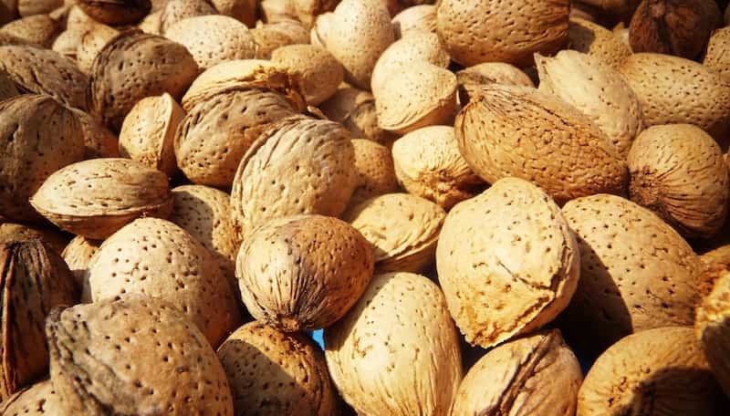 بادام با پوست چوبی؛ سلامت قلب مغز آهن روی فیبر ساده نمکی Almond
