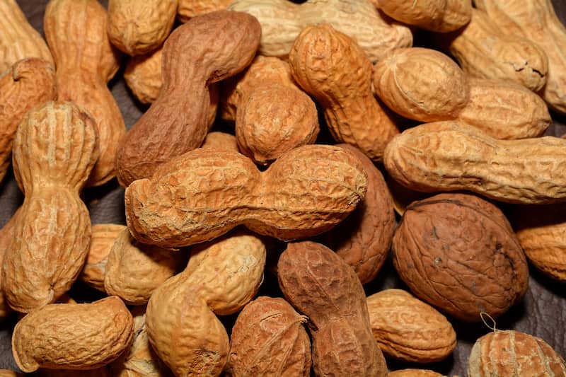 بادام با پوست خشک؛ ویتامین E  کلسیم درمان سرفه 3 کاربرد ( تولید روغن کره شیربادام)