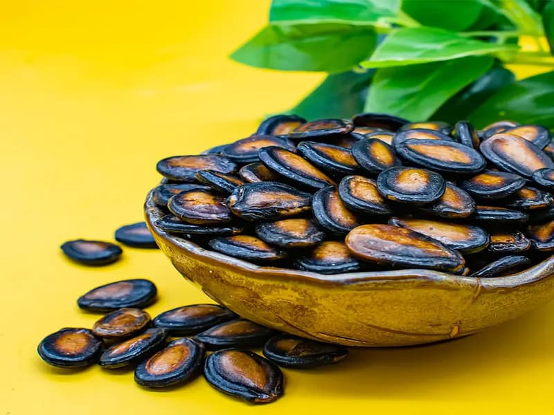 تخمه هندوانه برای کاشتن؛ طبیعی 2 رنگ شفاف روشن تابستان organic