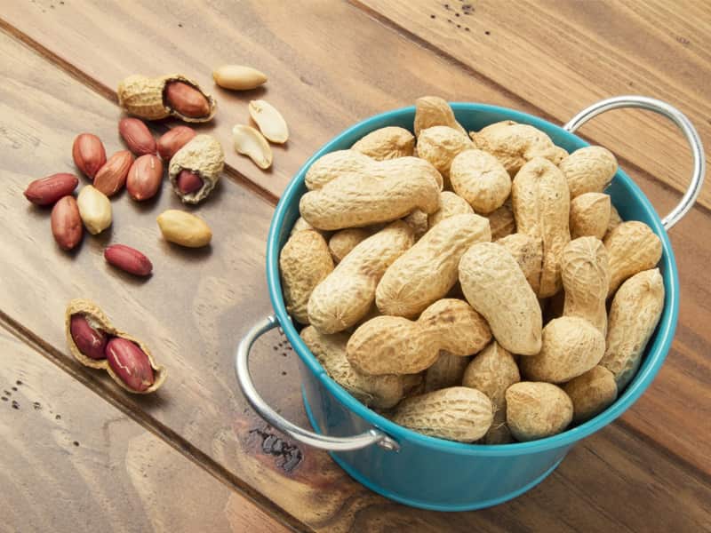 خواص بادام کوهی شیرین؛ درمان زخم معده رنگ قهوه ای fiber