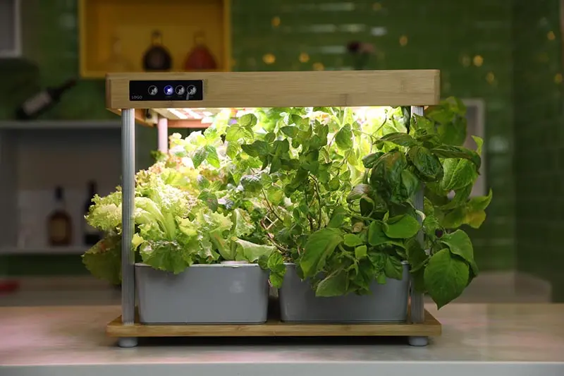 لامپ رشد گیاه دست دوم (LED) قابلیت تنظیم شدت نور 2 کاربرد مصارف خانگی گلخانه 