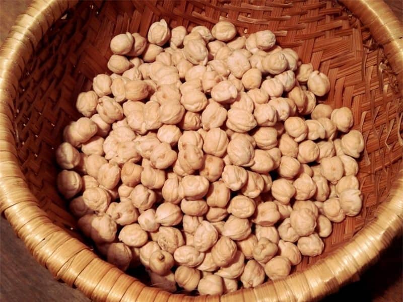 نخود سفید امروز؛ فله ای 2 طبع گرم خشک آنتی اکسیدان‌ ویتامین (C B6)