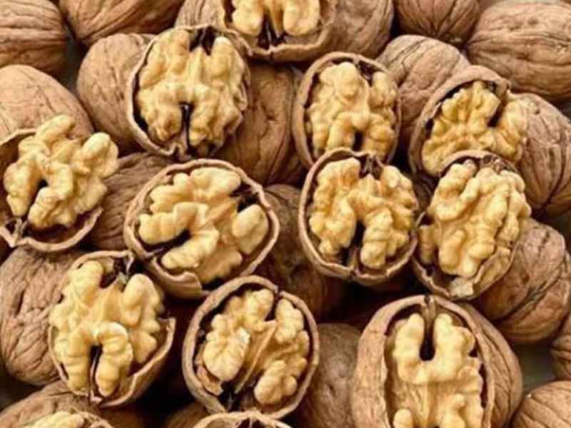 گردو پوست کاغذی ایرانی؛ قهوه ای سبز حاوی اسید فولیک ویتامین (E B6)