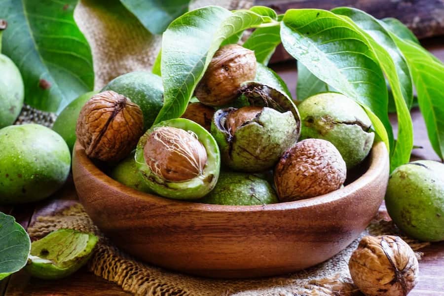 گردو سبز تویسرکان؛ مغز سفید پوست براق رشد مو Omega 3