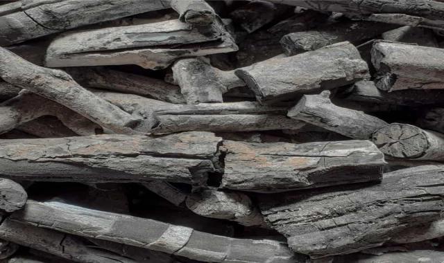 زغال پسته تهران؛ چوب نیمه سوخته مستطیلی سبک وزن coal