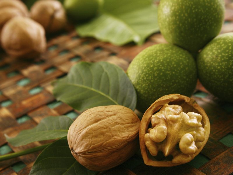 گردو لهستانی؛ توسرخ کاغذی جوانسازی پوست حاوی مس phosphorus