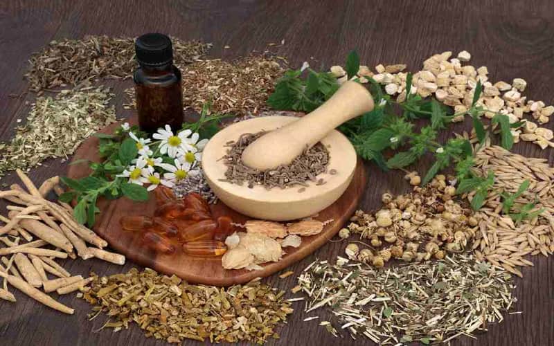 گیاهان دارویی خواب آور قوی؛ دمنوش 3 نوع سنبل الطیب گل بنفشه گاو زبان آرامبخش