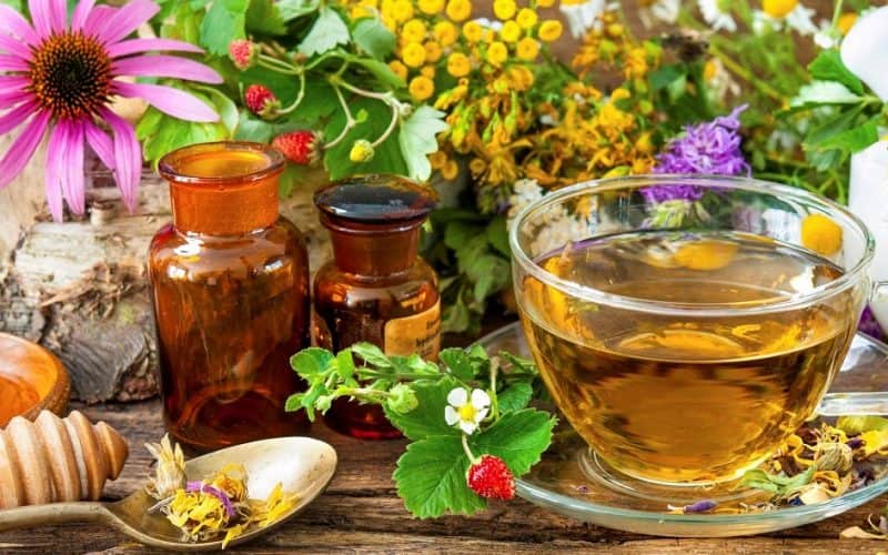 گیاهان دارویی جنوب ایران؛ آنتی اکسیدان (زعفزان کتیرا گون) خشک ضد سرطان