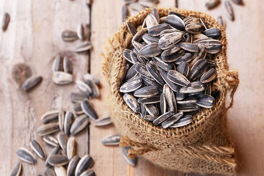 تخمه آفتابگردان برادران حسینی؛ تازه (نمکی  بدون نمک) خرده عمده ریز درشت sunflower seed
