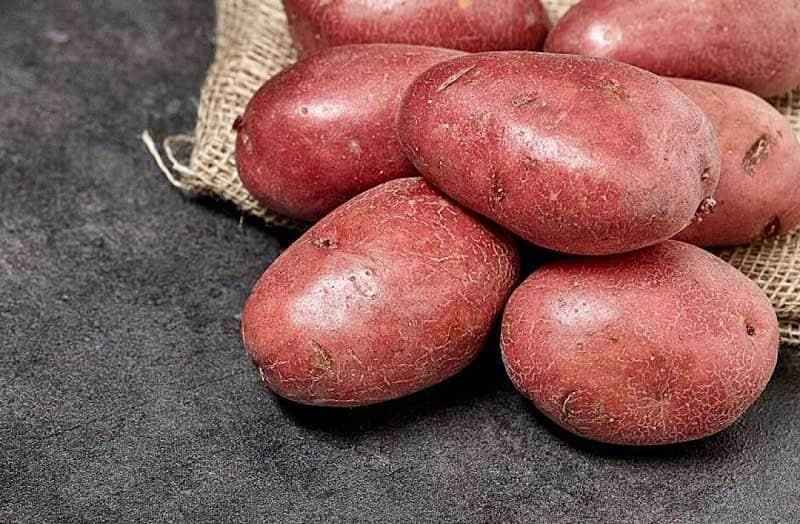 سیب زمینی قرمز؛ ارگانیک مواد معدنی بهبود سیستم ایمنی Vitamin