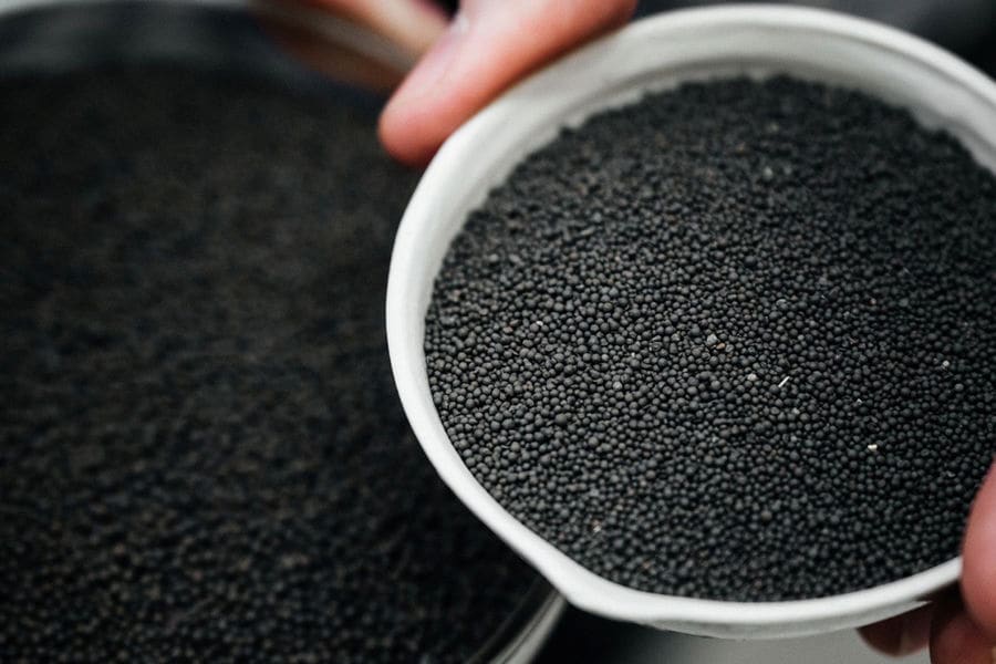 بذر خرفه شیراز؛ شیرین کلسیم امگا 3 درمان فشار خون سنگ مثانه Seed