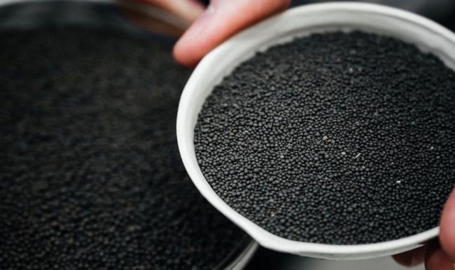 بذر خرفه شیراز؛ شیرین کلسیم امگا 3 درمان فشار خون سنگ مثانه Seed