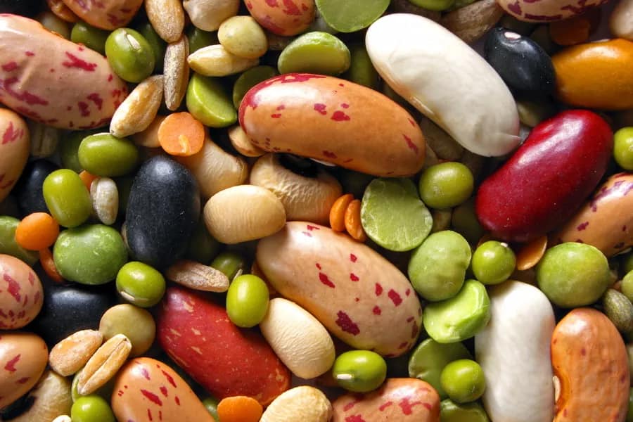 بذر حبوبات؛ کاهش کلسترول رفع یبوست کلسیم ویتامین B