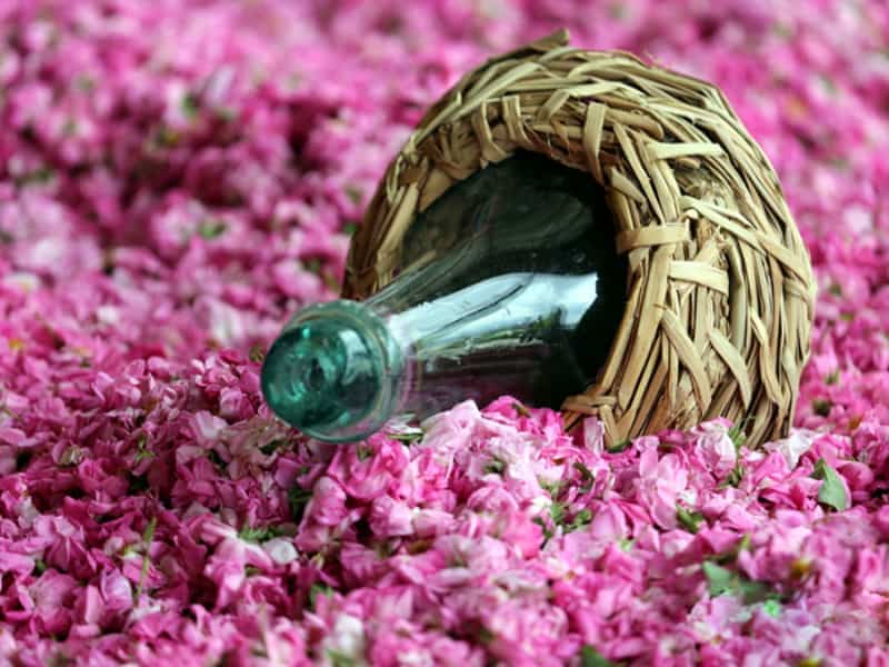 گلاب یک لیتری (عرقیات) معطر طبیعی ارگانیک زلال شفاف شیشه ای بطری Antibiotics