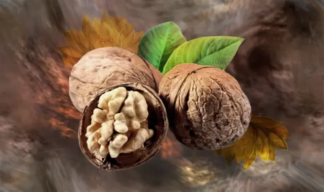 گردو سفید تازه؛ رنگ روشن پوست نازک طعم خوب Fresh