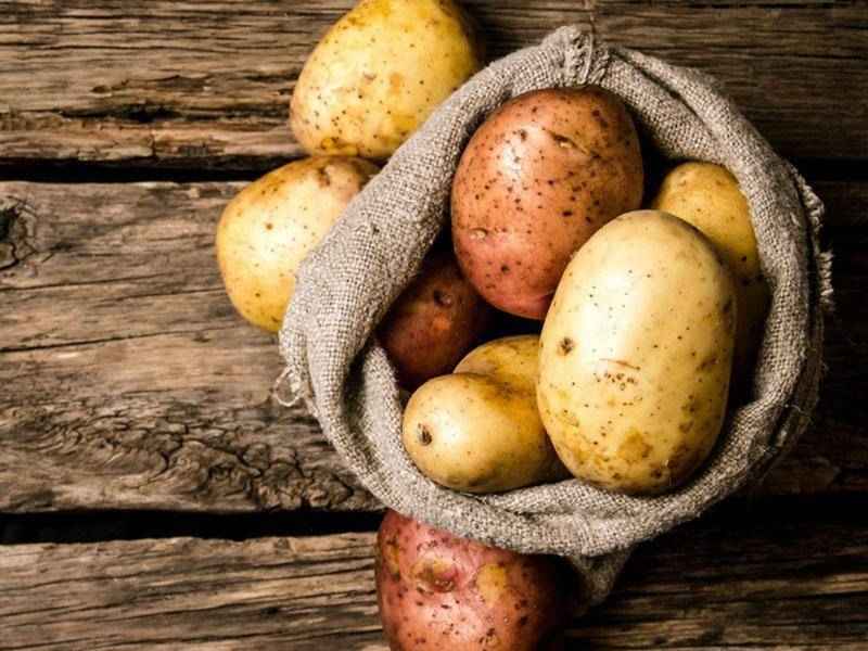 سیب زمینی قروه؛ کیفیت بالا (ریز درشت) زرد 3 نوع اسپریت بامبا سانته