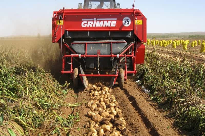 دستگاه برگ زن سیب زمینی؛ تیغه اروپایی 50 اسب بخار دارای 4 تمسه