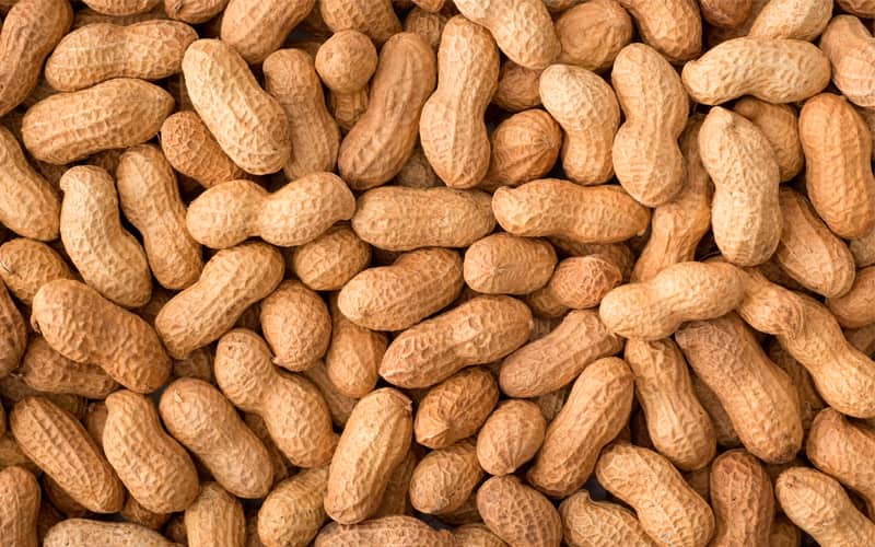 بادام با پوست 1401؛ کاغذی سنگی 2 کیلوگرمی دارای فسفر