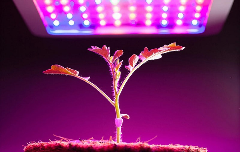 لامپ ال ای دی گلخانه؛ پلاستیک شیشه 2 رنگ زرد سفید سازگار Iran