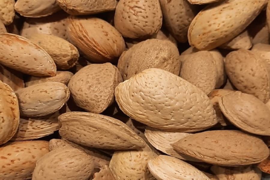 بادام درختی تازه با پوست؛ سبز روشن 2500 گرمی ملین ساز