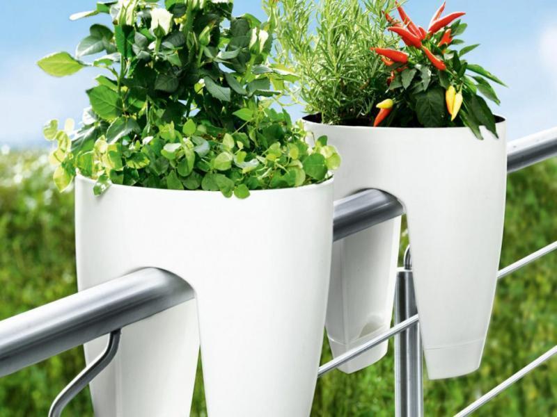 گلدان پلاستیکی شیک؛ مواد نو لایه محافظتی مناسب گل آپارتمانی plastic