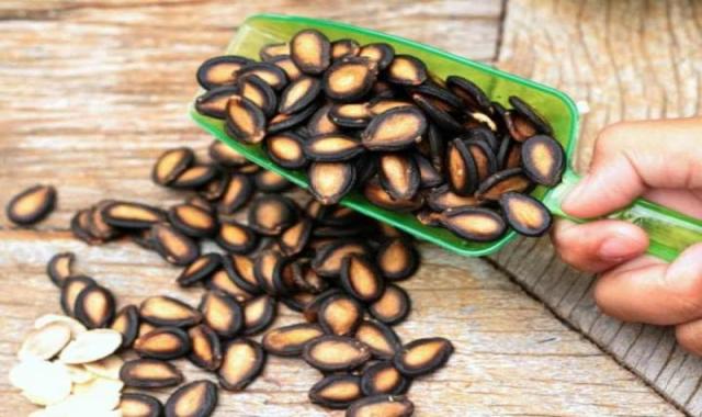 تخمه هندوانه محلی؛ شفاف سفید 2 نوع نمکی زعفرانی دارای کالری کم Local