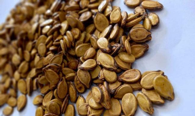 تخمه کدو دو آتیشه؛ خام بو داده دارای رنگ طبیعی Pumpkin