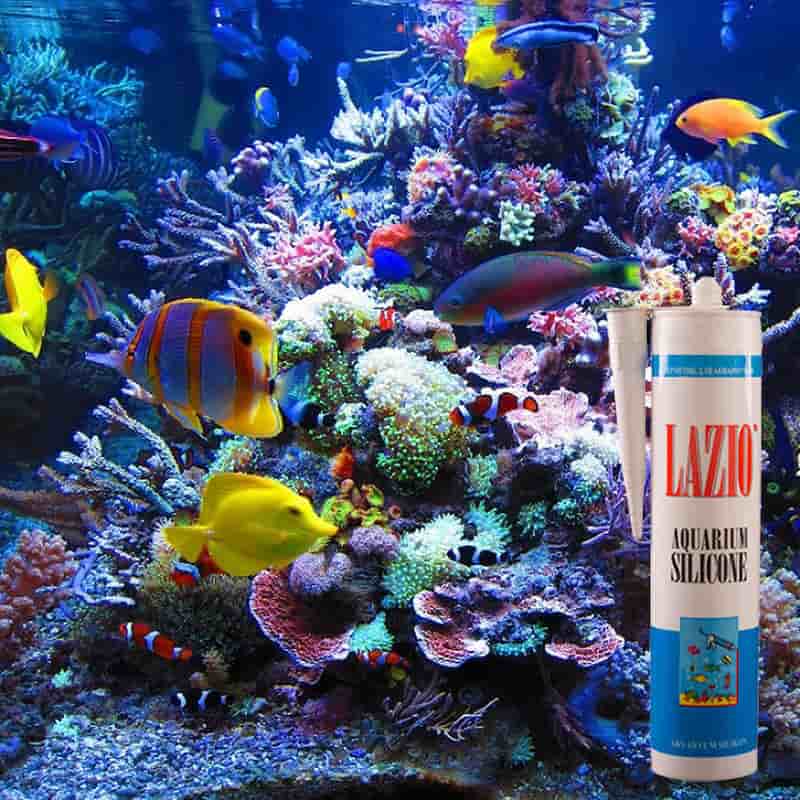 چسب آکواریوم lazio؛ مقاوم حرارتی ضد باکتری رنگبندی بی رنگ سفید مشکی stickiness