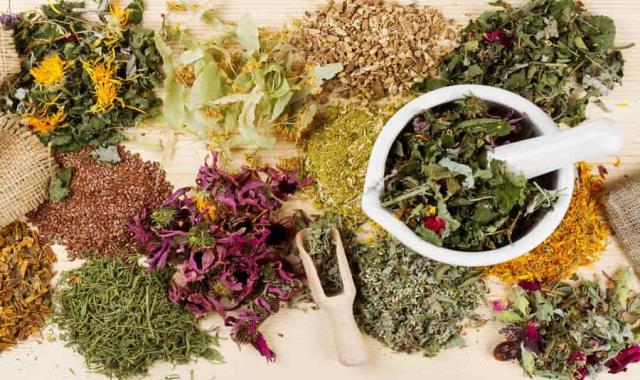گیاهان دارویی جاده چالوس؛ آویشن پونه کنگر (تر خشک) نفخ معده Medicinal