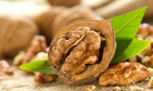 گردو جنگلی شمال؛ سلامت مغز رژیم غذایی صبحانه ویتامین B