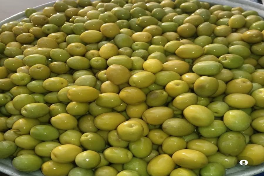 زیتون شور برای کبد چرب؛ سیاه سبز 2 کیلوگرمی حاوی فیبر