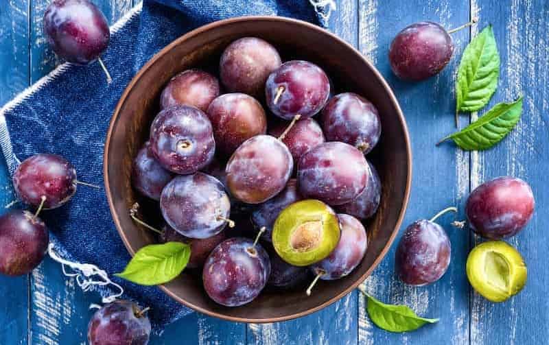آلو شابلون در بازار؛ کلسیم فیبر کیلویی بسته بندی درمان کم خونی plum