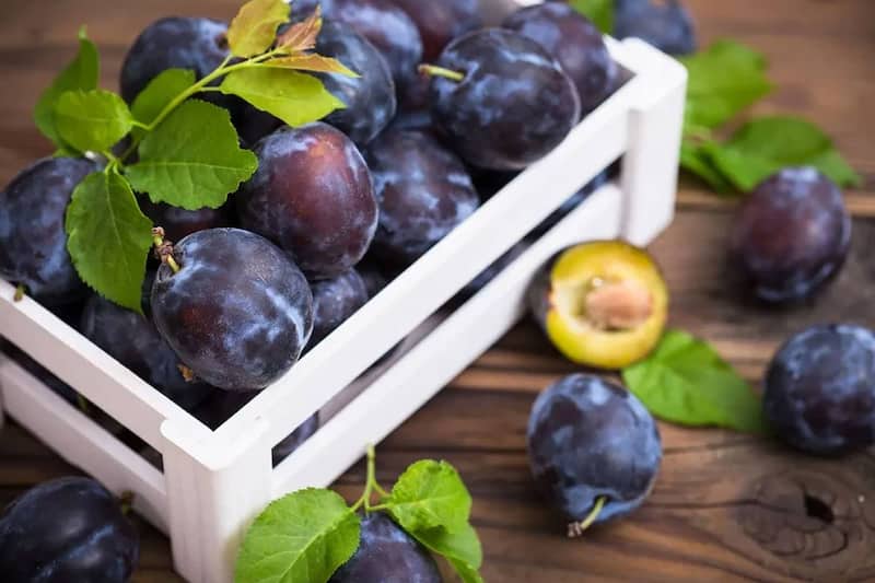 آلو شابلون امروز؛ سدیم پتاسیم ترش سفت آبدار خشک طبیعی Sweet