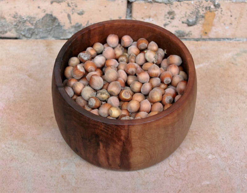 مغز فندق عمده؛ خام شور طبع گرم کرم Standard