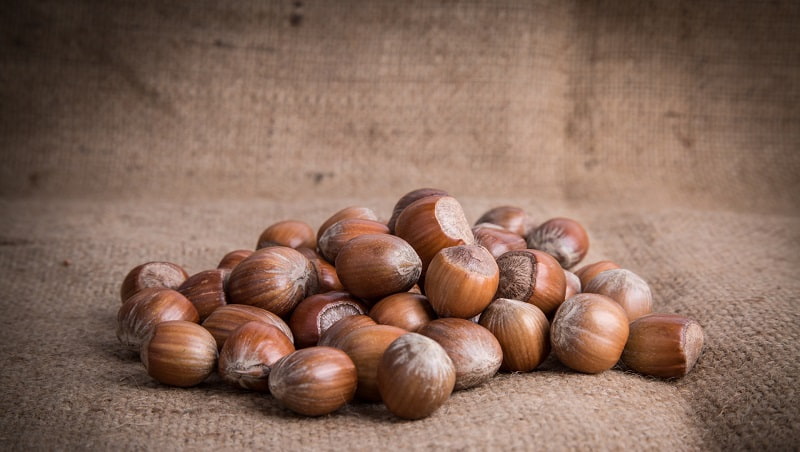 مغز فندق فله؛ آنا سلف هاسگر قهوه ای منیزیم منگنز فسفر Iran