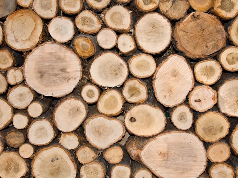 چوب گردو خام؛ خشک خیس 3 کاربرد مبلمان کف پوش نجاری Brown