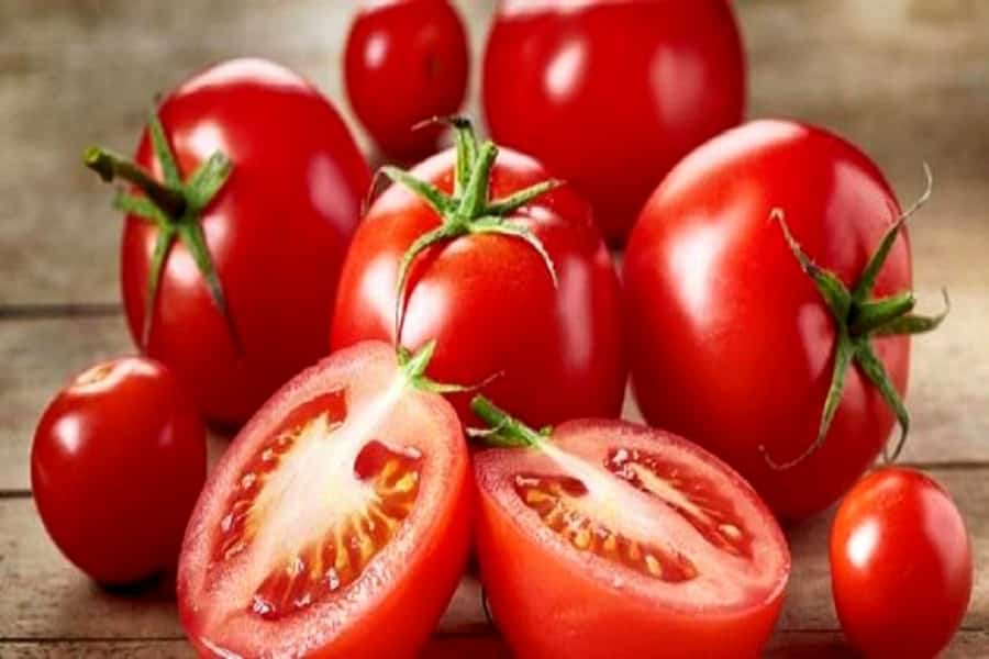 گوجه فرنگی رقم متین؛ قرمز (کلسیم آنتی اکسیدان) سس