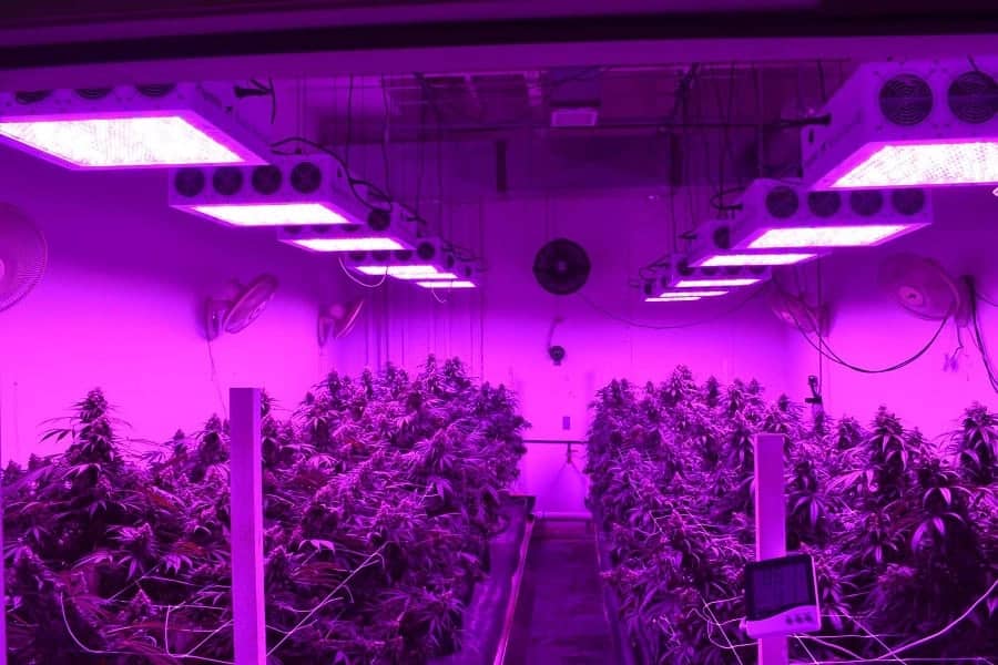 لامپ ال ای دی برای رشد گیاه؛ کشاورزی 3 رنگ سفید صورتی زرد Plant